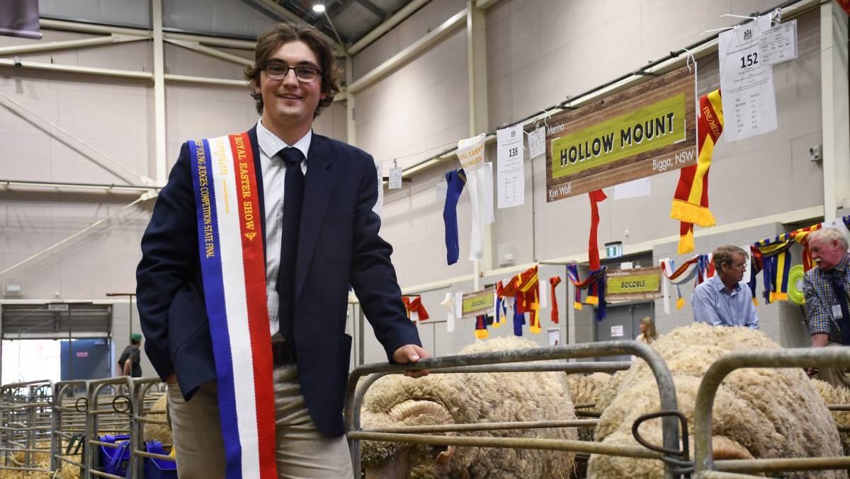 UNE student and Alfoxton worker Lindsay Brown has been judging Merinos for a few years. He looks for a good carcase and fine wool structure.