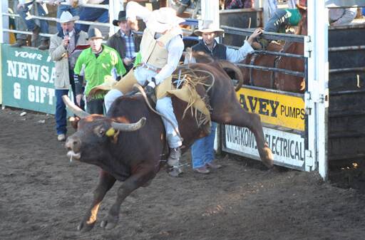 GLAMOUR EVENT: Cowboys traditionally launch from the chutes competing for prizes in bull rides, as well as steer wrestling, calf roping and barrel racing. 