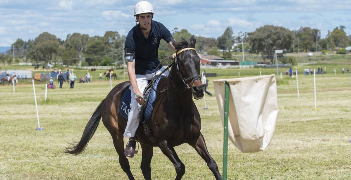 James Hartog-Smith was in great form during the Inter-School Horse Extravaganza at the AELEC. Photo:  Peter Hardin 141016PHH114