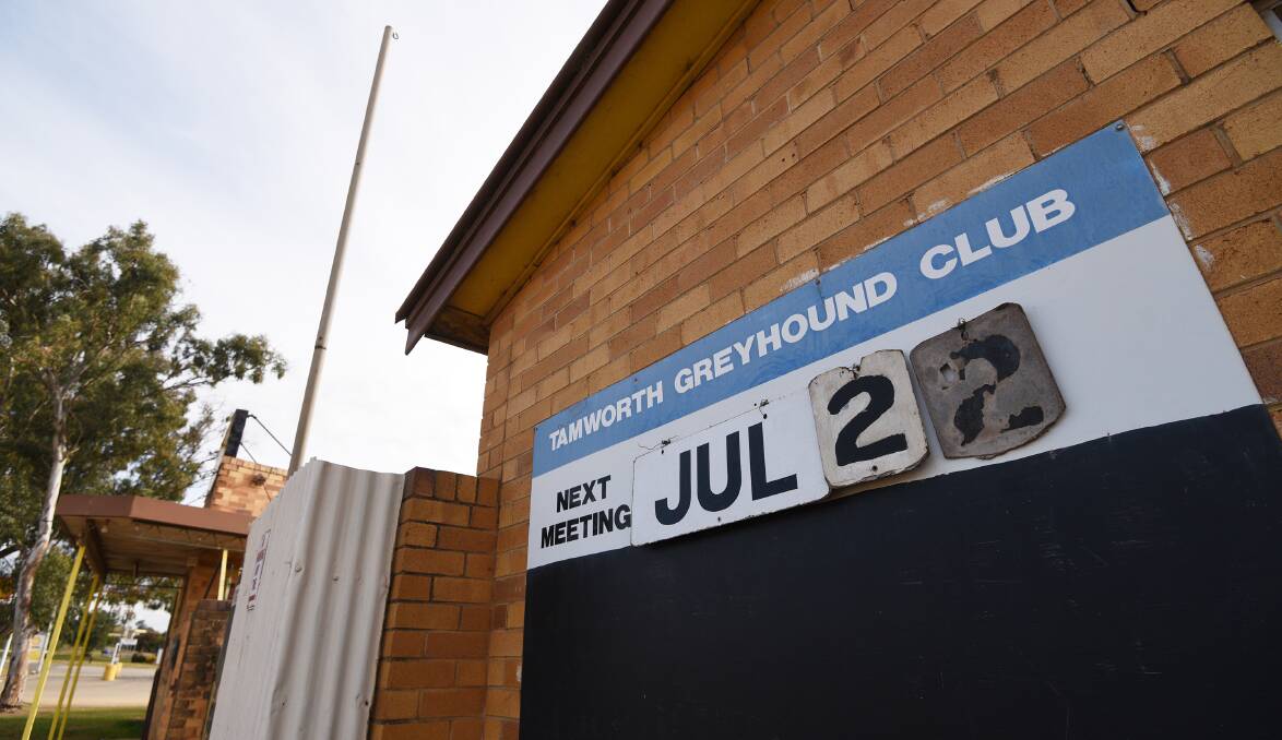 Gone to the dogs: The Tamworth club has been named as having the highest mortality rate in the state, although the club rejects the finding. Photo: Gareth Gardner