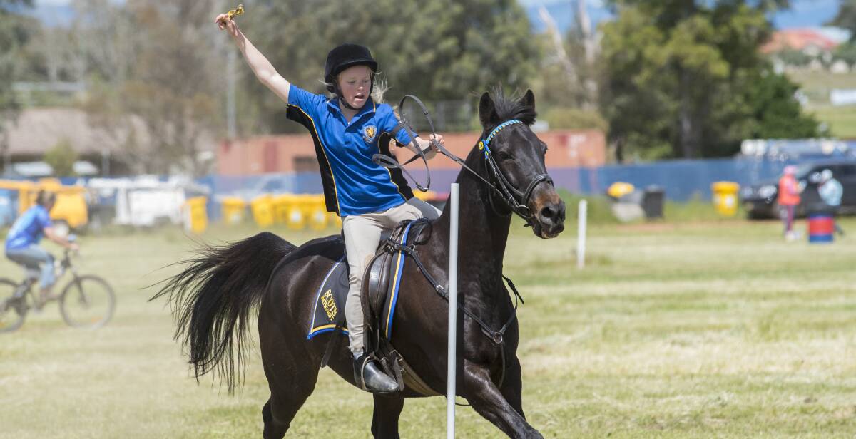 Felicity Webb shows her skills with one hand on the reins at the Inter-school Horse Extravaganza. Photo: Peter Hardin 141016PHH051