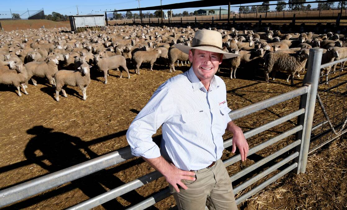 Dry times, high times: Daniel McCulloch said that while the worst drought in over a century is hurting everyone the record high commodity prices may have softened the blow for some producers. Photo: Gareth Gardner