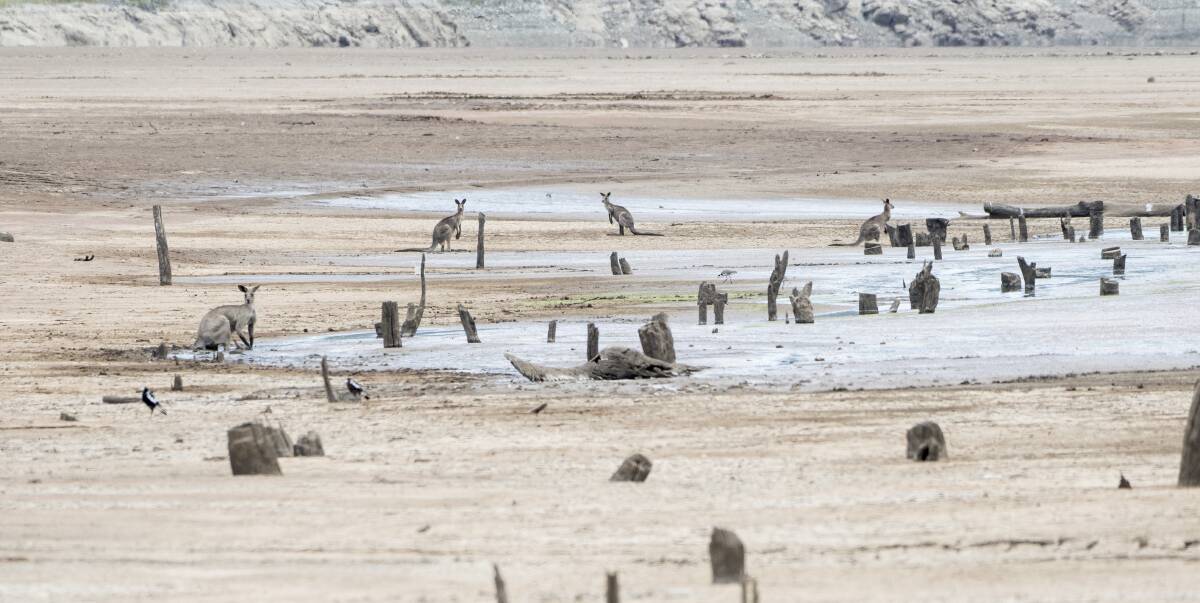 Dam dry: A weather event could spell disaster for fish stocks at Keepit Dam as nutrient rich water could result in algae blooms and a fish kill. Photo: Peter Hardin
