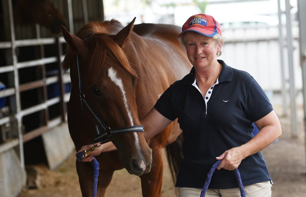 Highway chance: Tamworth trainer Sue Grills is hoping filly Fickle Folly can claim the stable a maiden TAB Highway at Rosehill on Saturday. Photo: Gareth Gardner 011216GGD01