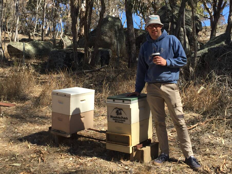 Honey trap: Deon Heemskerk has been forced to move most of his bee hives from Bendemeer to a Tamworth nursery due to the drought. Photo: Chris Bath