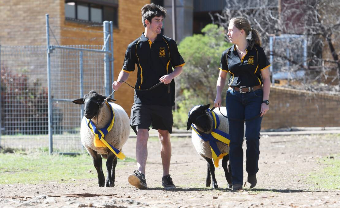 Back to back: Jake Dow and Lily Christian with reserve champions Charles and Vicky, following Peel High's Schools Grand Champion win. Photo: Gareth Gardner