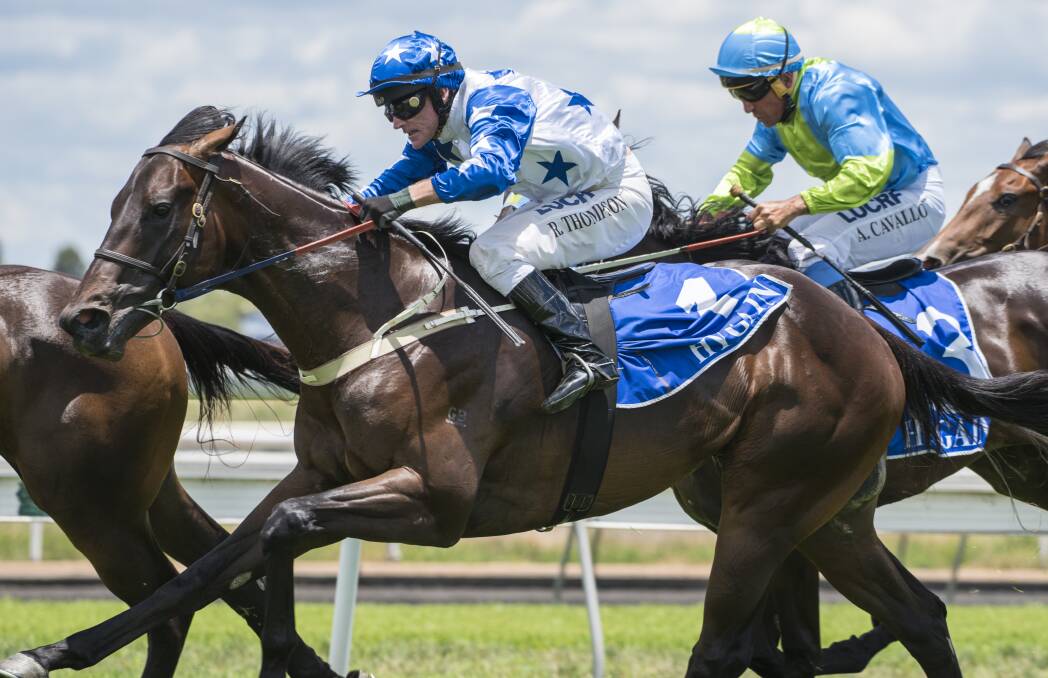 Key to a winning recipe: Champion jockey Robert Thompson has been booked to partner Volpe for Team Hawkes at Muswellbrook on Thursday. Photo: Peter Hardin