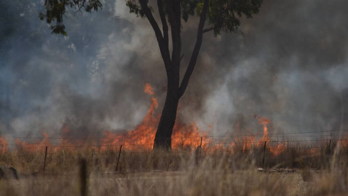 Raging: A long hot summer with very little rain has seen more than 11,000 fires break out across the state since June like this fire at Carroll on Saturday. Photo: Ben Jaffrey