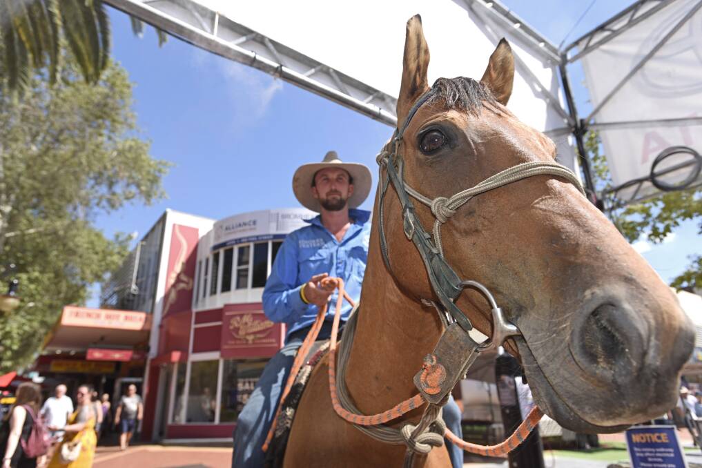 Backing up: Britt Thornberry and his steed Brolga find some reprieve from the heat in the Fitzroy Plaza. Photo: Ben Jaffrey 20190118BJ71