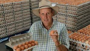 Don't count your chickens: Local egg producer Bede Burke said that the supermarket price wars could have a devastating impact on farmers.