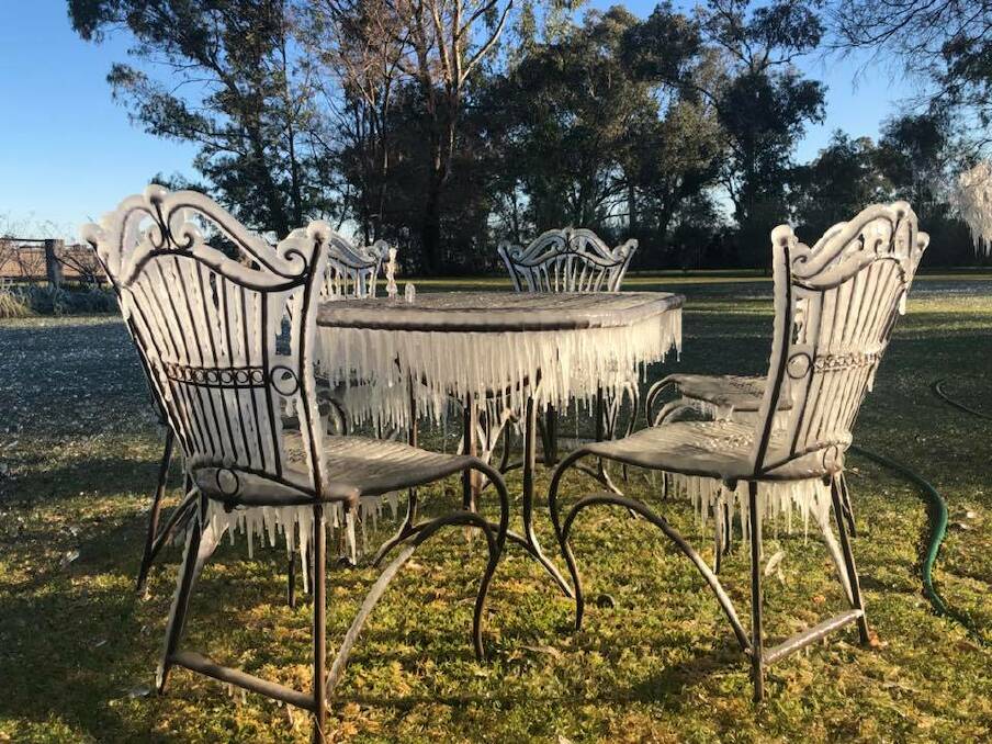 Record or not, that's cold: Sophie O'Neills garden setting looks eerily beautiful drenched in ice crystals being melted by the morning sun over the weekend.