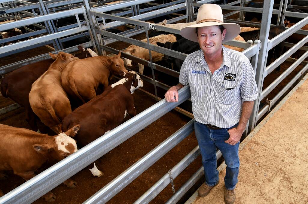 Beef up: Chris Paterson has forecast a sharp increase in beef prices as more producers sell off core breeding stock in the lead up to another dry winter. Photo: Gareth Gardner