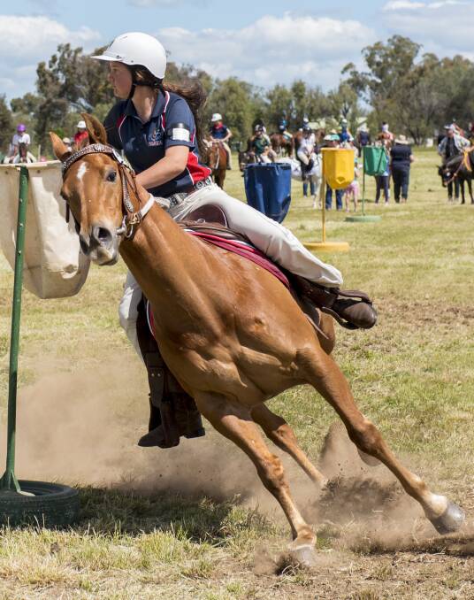 Darcy Heffernan flies through the course at the Inter-School Horse Extravaganza at the AELEC last weekend. Photo: Peter Hardin 141016PHH038