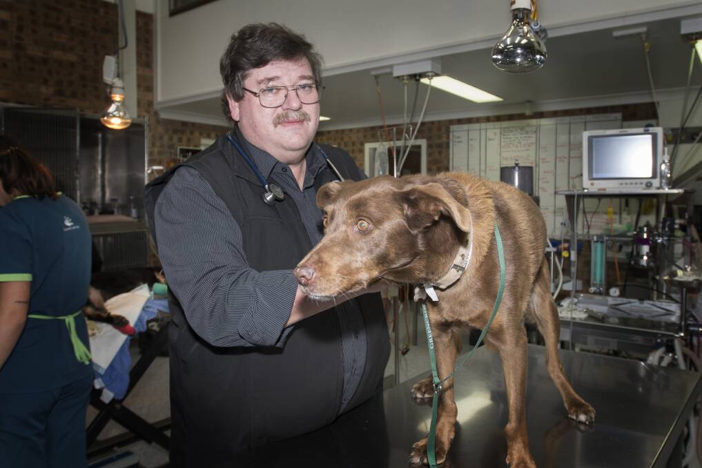 Canine care: Green Cross veterinarian Andrew Speer, with 15 year old Jenny, has urged dog owners to look for subtle signs of ageing in their pets. Photo: Peter Hardin 140519