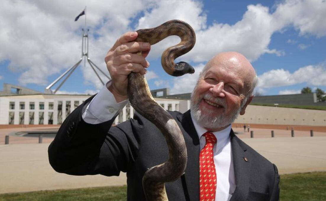 ABOVE: Professor Shine with a black-headed python, one creature that has benefited from the cane toad spread.