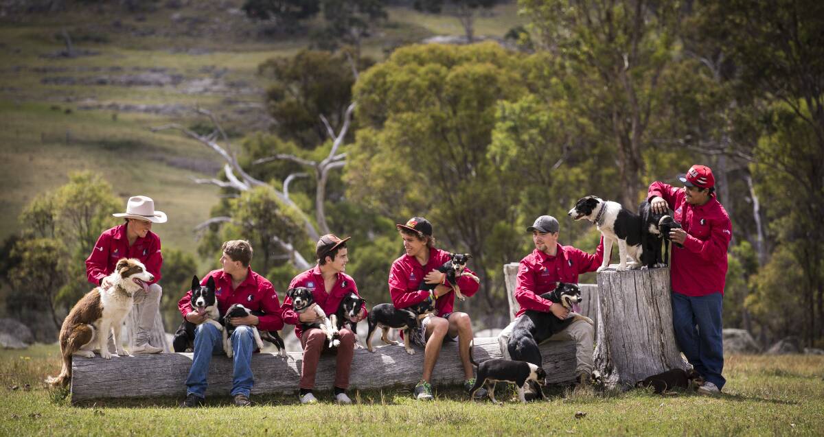 Work and play: Members of Armidale's Backtrack program train working dogs as part of the curriculum that has given the organisation a near 90 per cent success rate. Tamworth's program is expected to open within months.