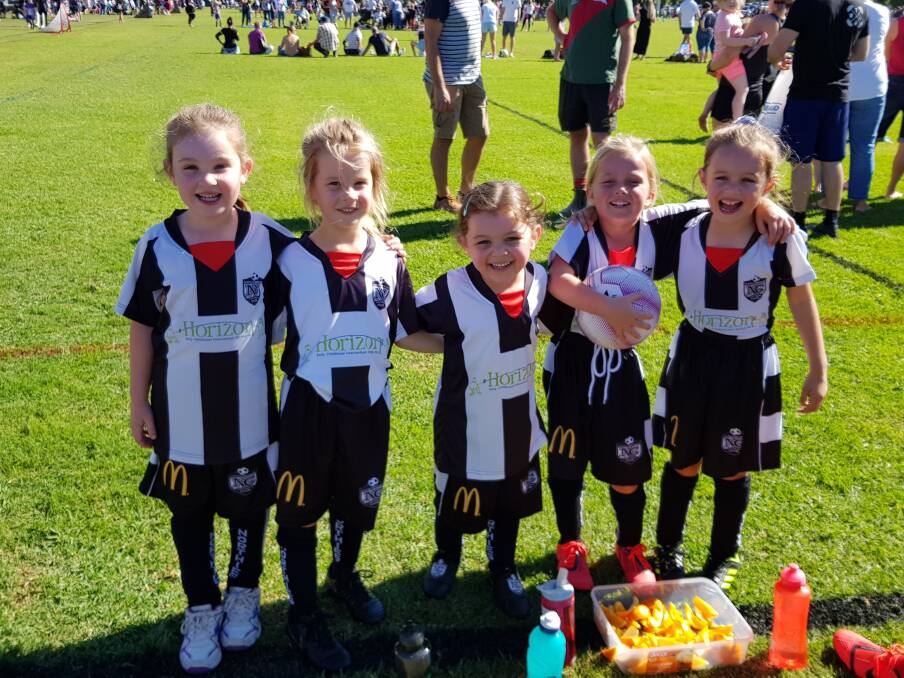 Kicking goals: The Gold Pandas are one of four North Companion teams in the U6/7 Tamworth girls competition after the club recorded a growth of 169 players since 2017 on the back of the hugely successful Active Kids Voucher program.