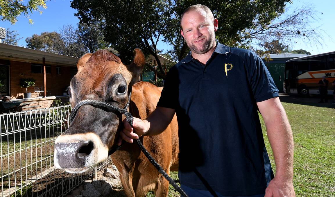 Udder success: Peel Valley Milk owner Todd Wilson picked up a gold and four silver medals at the National Dairy Industry awards recently, after doubling sales in under two years. Photo: Gareth Gardner 