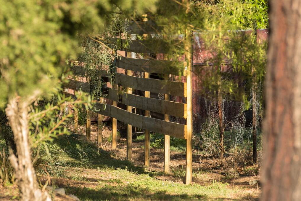 A wooden barrier installed on the Woolomin Public School grounds between the Alsatian's yard fence and the school playground.