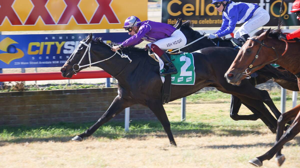 HOLDING ON: Equities gets home in front of Spirit Of Pluto and Saint Kitts in Armidale on Tuesday. Photo: Bradley Photographers
