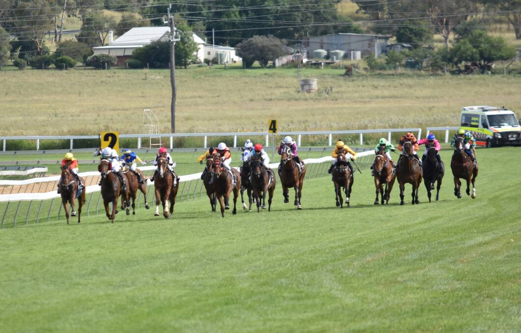 CHOCK-A-BLOCK: There will be plenty of full fields racing at the Inverell track on Friday. Photo: Ben Jaffrey