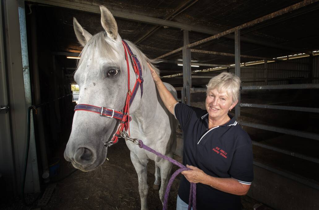 Sue Grills, pictured at her stables, has four horses set to race in Moree. Photo: Peter Hardin