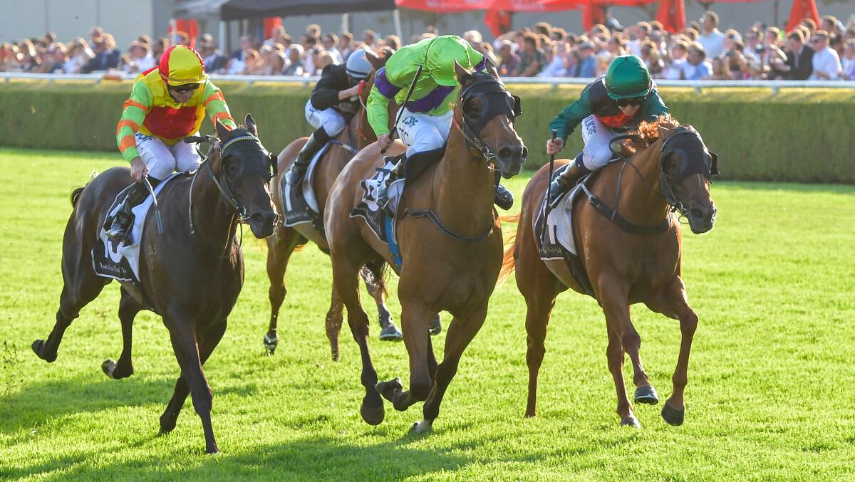 IN THE MIX: Suncraze, pictured centre, has been nominated for the Tamworth Cup this Sunday. Photo: AAP Image