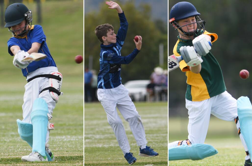 Photos from Tamworth junior cricket on the weekend