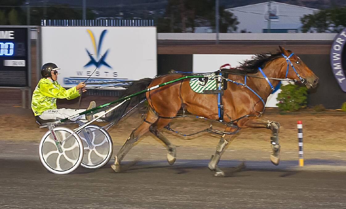 HOME TRACK WIN: Bassey going to the line with trainer-driver Sam Ison in the gig. Photo: PeterMac Photography