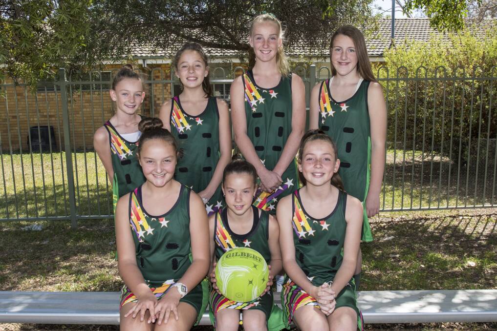 FINALISTS: Tamworth South's netball team area headed off to the state finals. Photo: Peter Hardin