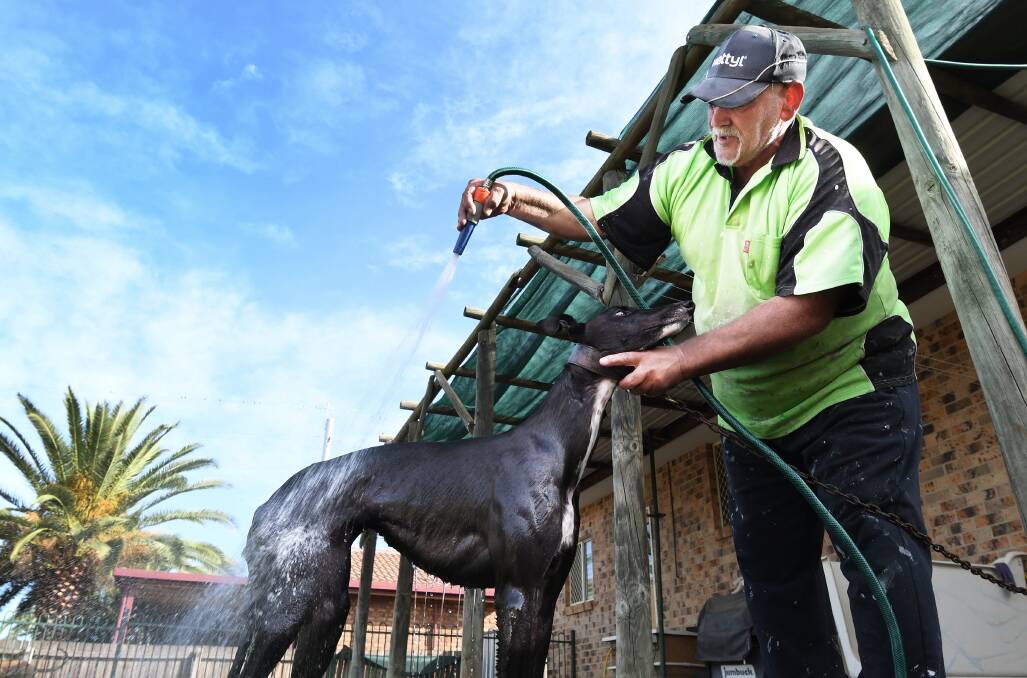PREPARATION: John Cini gives Impact Rose a wash before the second day of the Tamworth Cup Carnival. Photo: Gareth Gardner