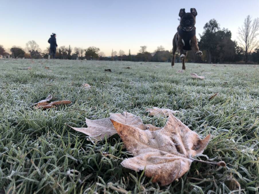 Frost hit Tamworth throughout the week.