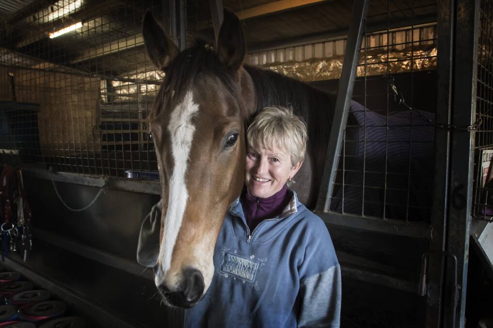 TAMWORTH TRAINER: Sue Grills at her stables at the Tamworth Jockey Club. Photo: Peter Hardin