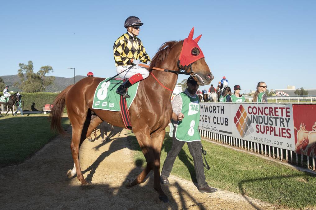 STAR APPEAL: Craig Williams aboard Total Recall ahead of the Tamworth Cup on Friday. Photo: Peter Hardin.