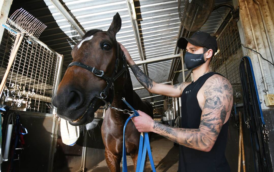 WORKING: Ziggi Rocks with Will Mason at the stables after the win on Monday. Photo: Gareth Gardner
