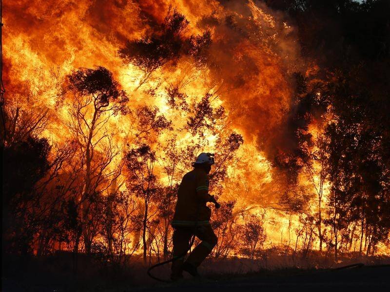 Greg Mullins said: "Australia's bushfire seasons are starting earlier, becoming more severe and lasting longer than ever before."