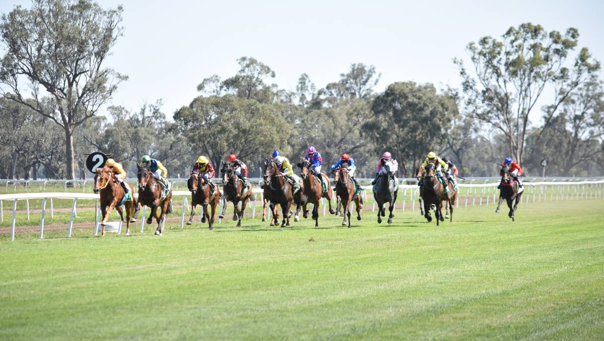 There will not be any racing at Riverside on Saturday. Photo: File