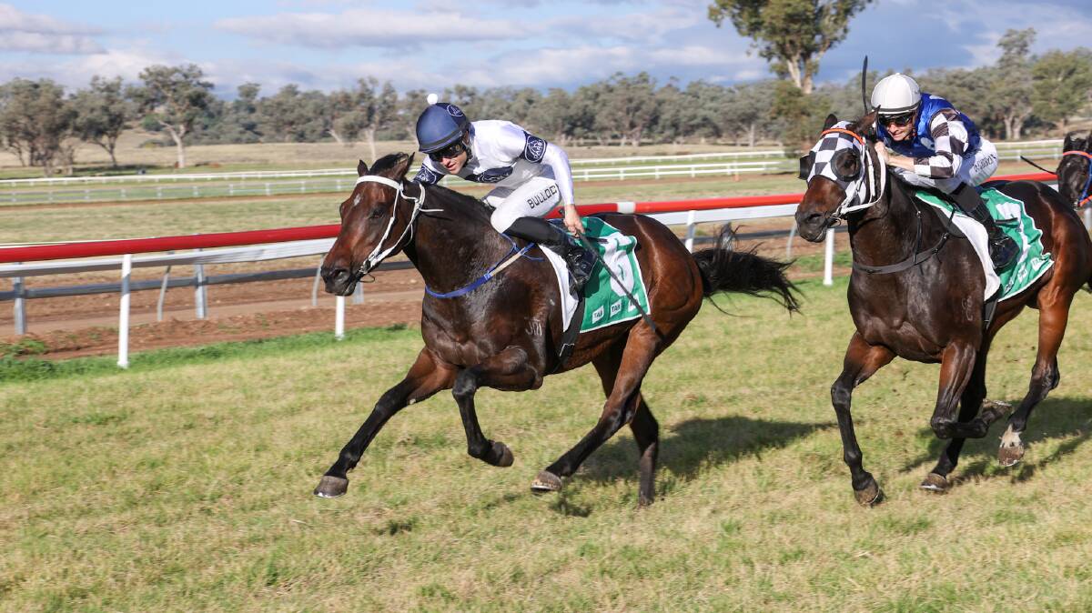 CLOSE: Aaron Bullock gets the job done aboard Cosmic Bullet at Quirindi in front of Dream Song. Photo: Bradley Photographers