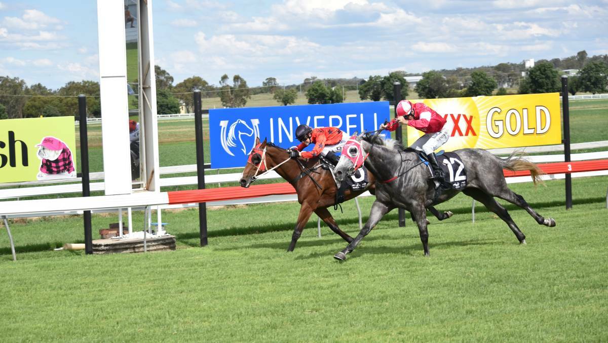 ONE FOR THE BATTLERS: Victory Lass holds off Clipaholic in the 2018 Battlers Cup. Photo: Supplied