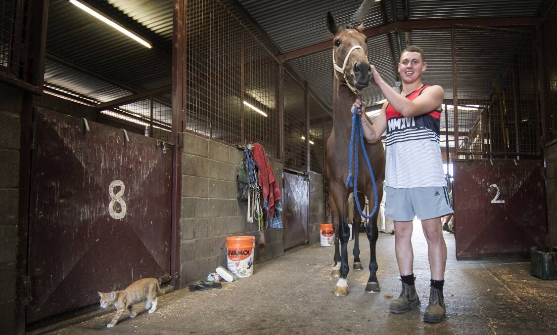 CLOCKING UP THE WINS: Zach Hatch at the stables he shares with his father Mark in Tamworth. Photo: Peter Hardin