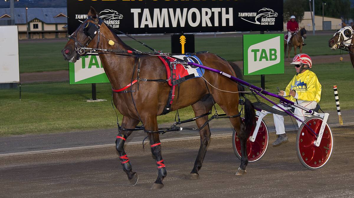 WINNER: The speedy Rocknroll Max after a handy win for driver Dean Chapple. Photo: PeterMac Photography