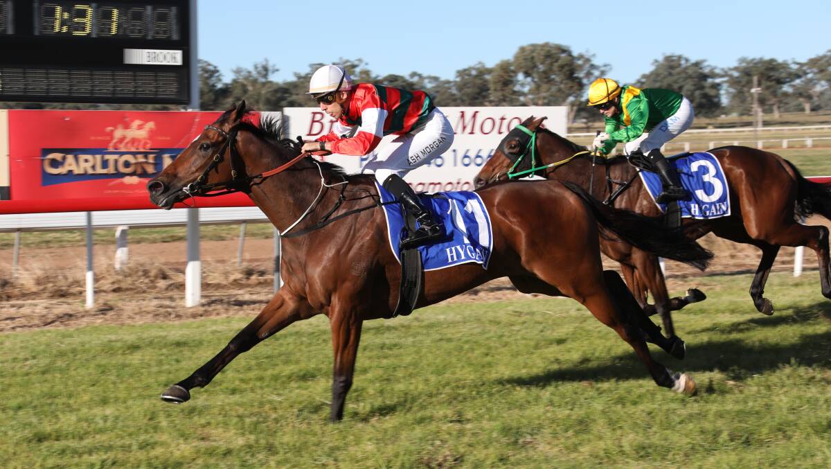 TOO GOOD: Sadler's Rest pulls away to win by 1.4 lengths at Quirindi on Monday. Photo: Bradley Photographers