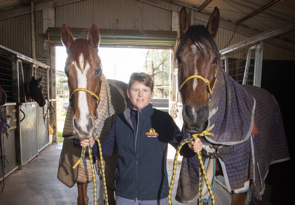 CLASH: Sally Torrens will race half sisters, Reigning Supreme and Supreme Belle, at Tamworth. Photo: Peter Hardin
