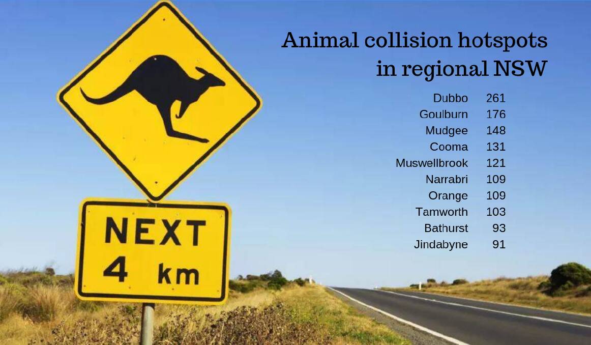 Tamworth named a roadkill hotspot as drought causes spike