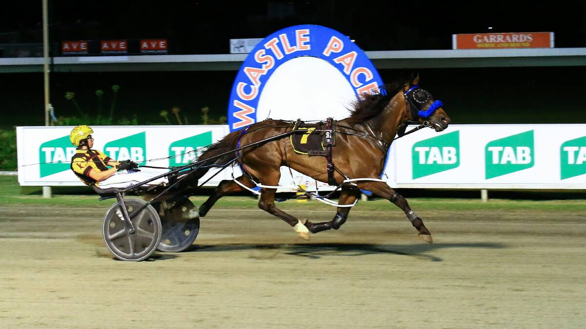 TOO GOOD: Couldntbetold wins at Newcastle last Friday night for the Sarah Rushbrook stable. Photo: Coffee Photography Dubbo