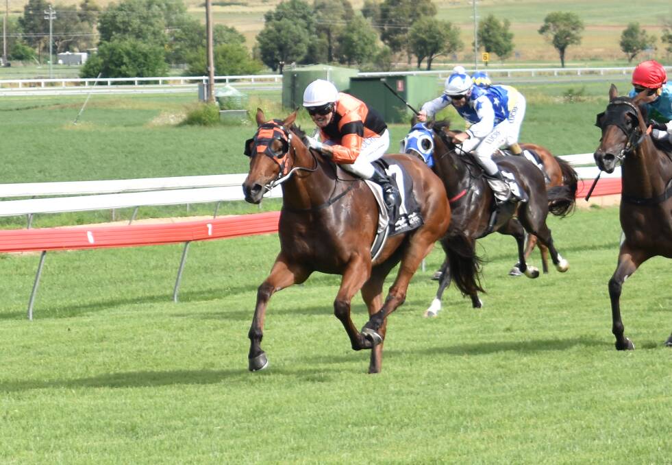 CUP TIME: Mishani Honcho, pictured racing at Inverell, will compete in the Tamworth Cup this weekend. Photo: Ben Jaffrey