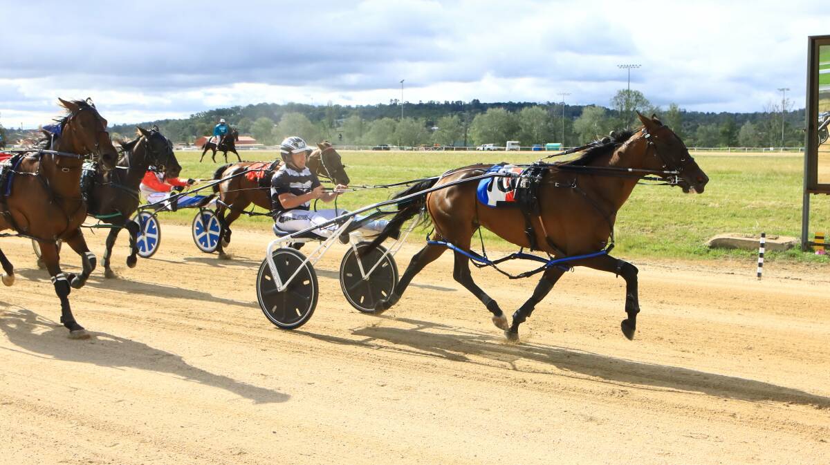 Kid Montana in one of his early career wins at Armidale driven by part owner Chris Shepherdson. Photo: Coffee Photography Dubbo