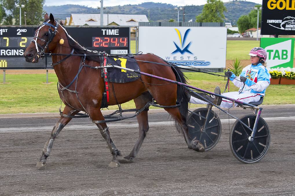PACER: Grace Panella handling the reins behind Brydon Earl who is part owned by a regular to Tamworth in Jenny Morgan. Photo: PeterMac Photography