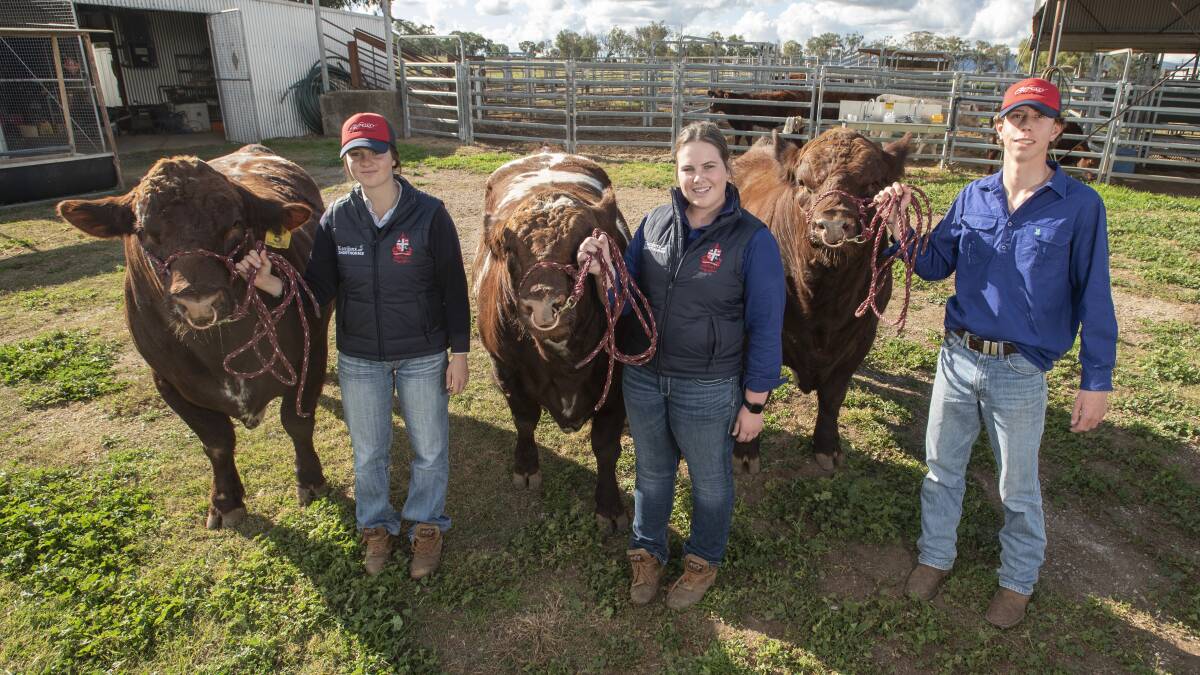 SOLD: Lara De Jong, Grace Purtle and Hamash McPherson with some of the shorthorns. Photo: Peter Hardin