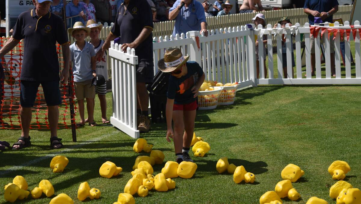 Great Country Duck Race Deb McLenahan wins 1000 The Northern Daily